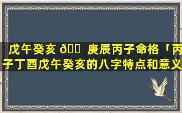 戊午癸亥 🐠 庚辰丙子命格「丙子丁酉戊午癸亥的八字特点和意义」